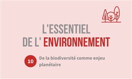 L'essentiel de l'environnement : la biodiversité comme enjeu planétaire