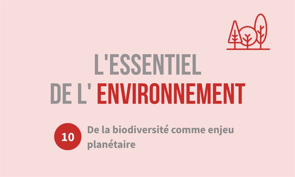 L'essentiel de l'environnement : la biodiversité comme enjeu planétaire