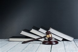 Gardiens de la paix : les agréations des formations prolongées jusqu’au 30 juillet 2028