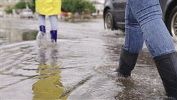 Orages et inondations : le point sur les démarches en cours en Wallonie