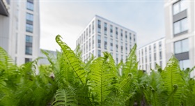 CoDT : une proposition de décret veut imposer le verdissement des espaces urbanisés